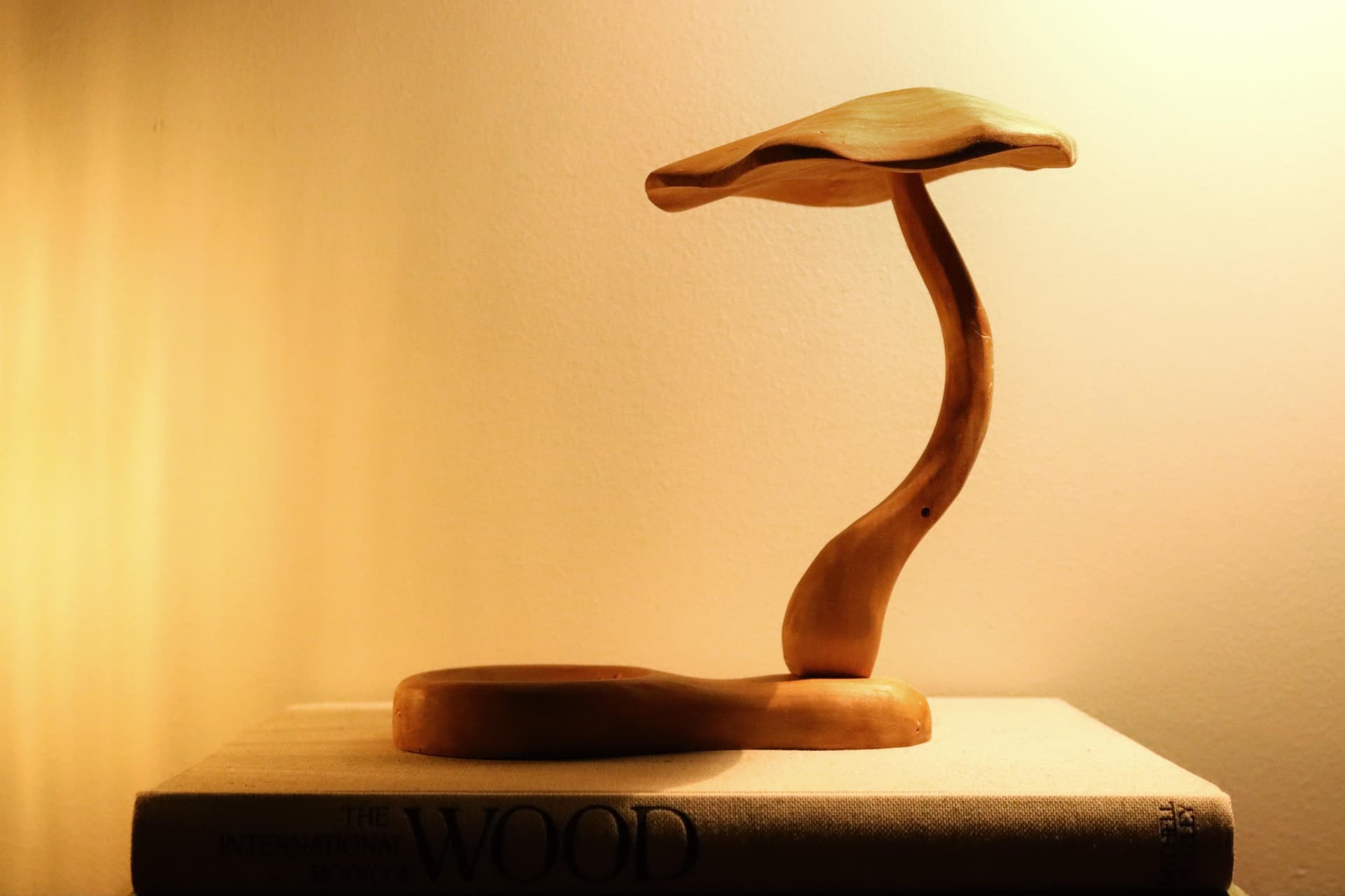 Forest Mushroom Decor Inspired by the Mystique of Woodland Mushrooms