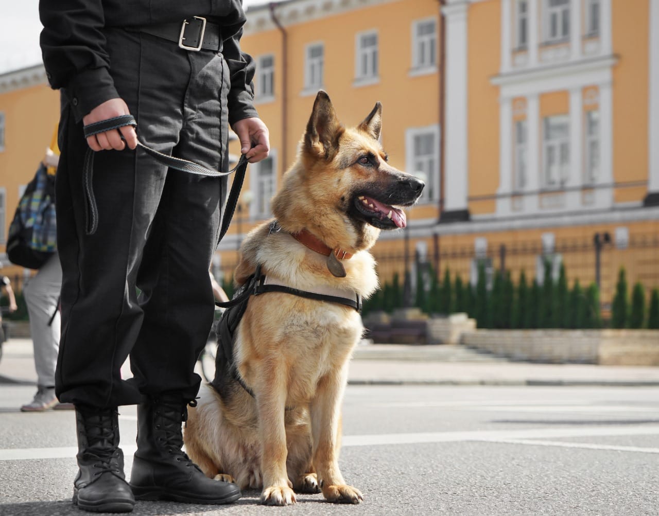 The Role of Security Dogs in Strengthening On-Site Protection Services