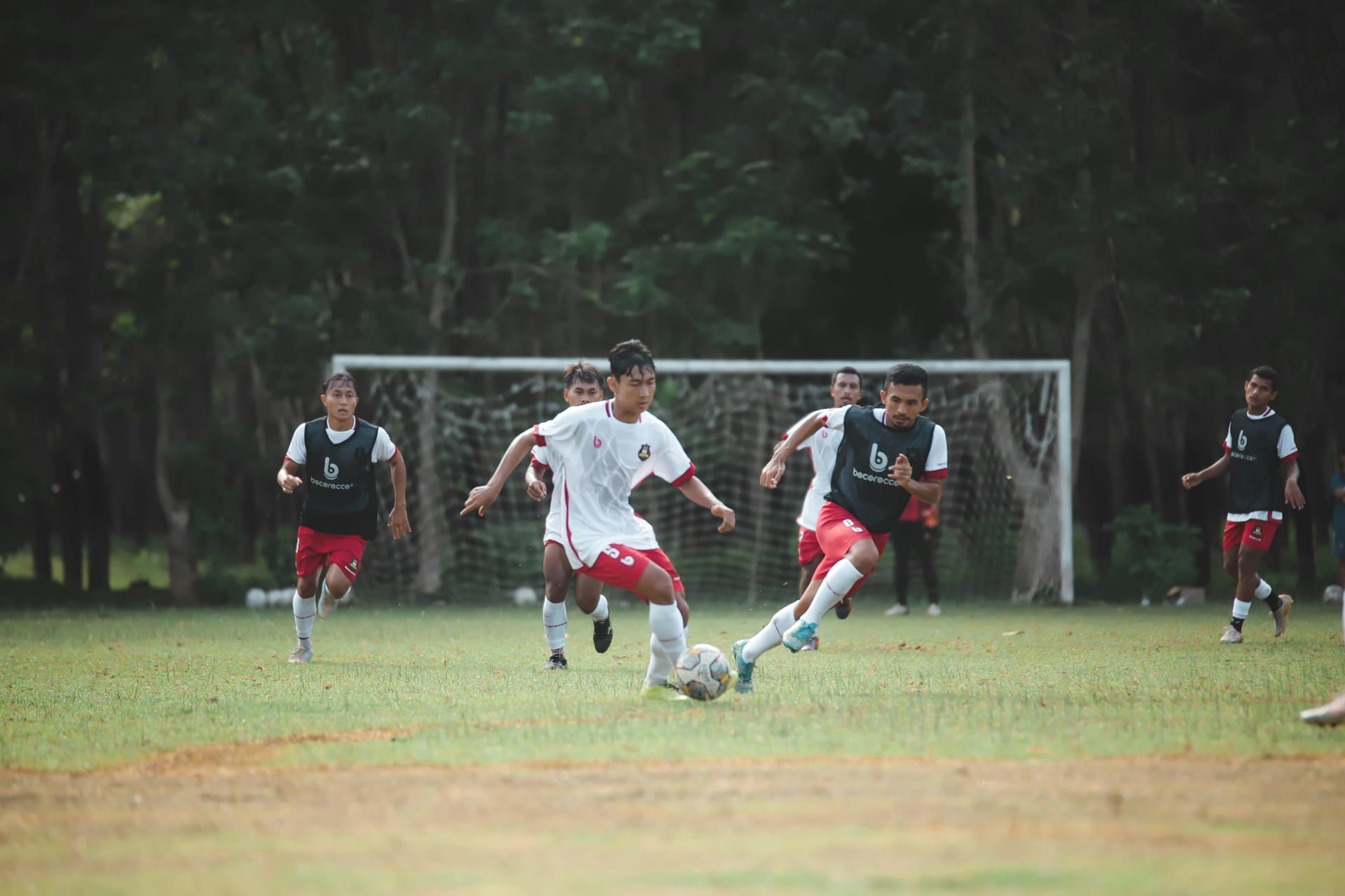 Multi Sports Camps for Boys Full of Energy and Excitement