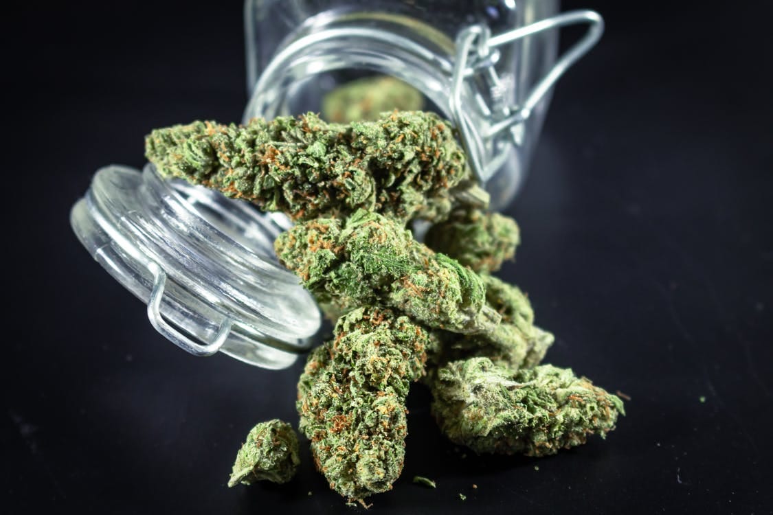 Quality Bulk Cannabis Halifax: Your Guide to Premium Cannabis Selection