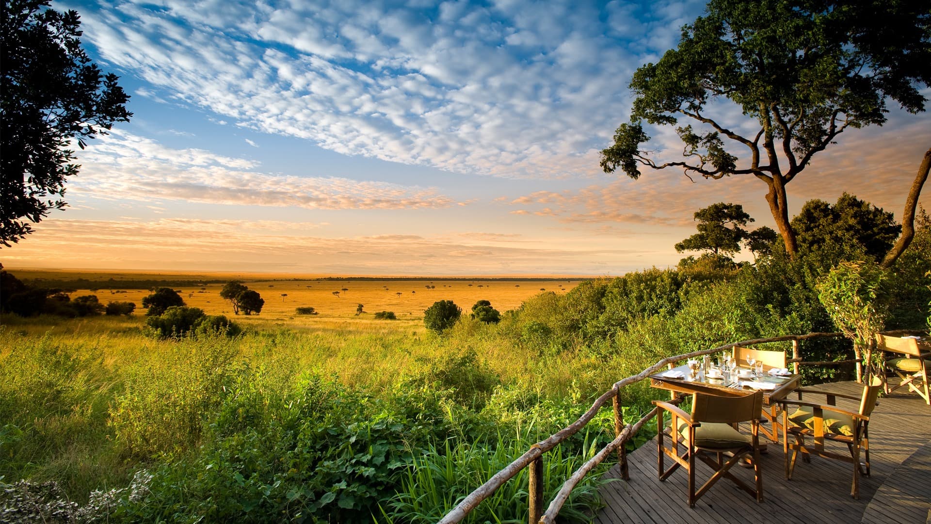 Premium Kenya Tanzania Safari Tours Designed by Experts