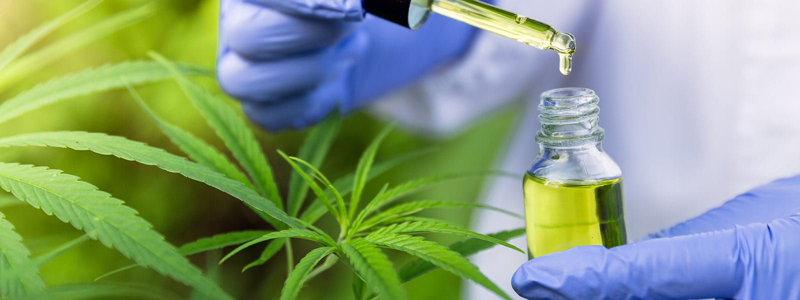 CBD Miami: High-Quality, Delicious Edibles