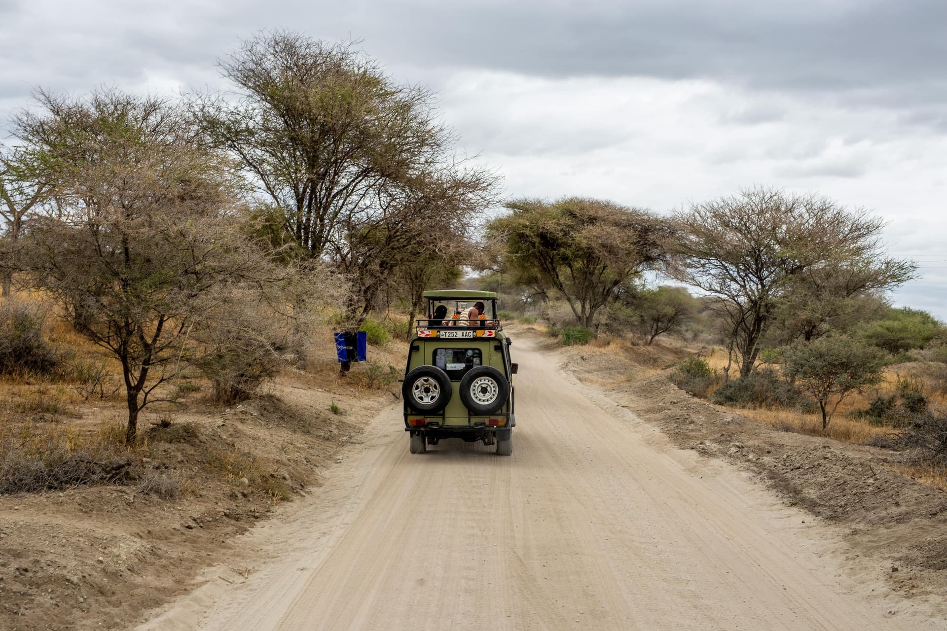 Kenya Safari Itineraries for First-Time Visitors
