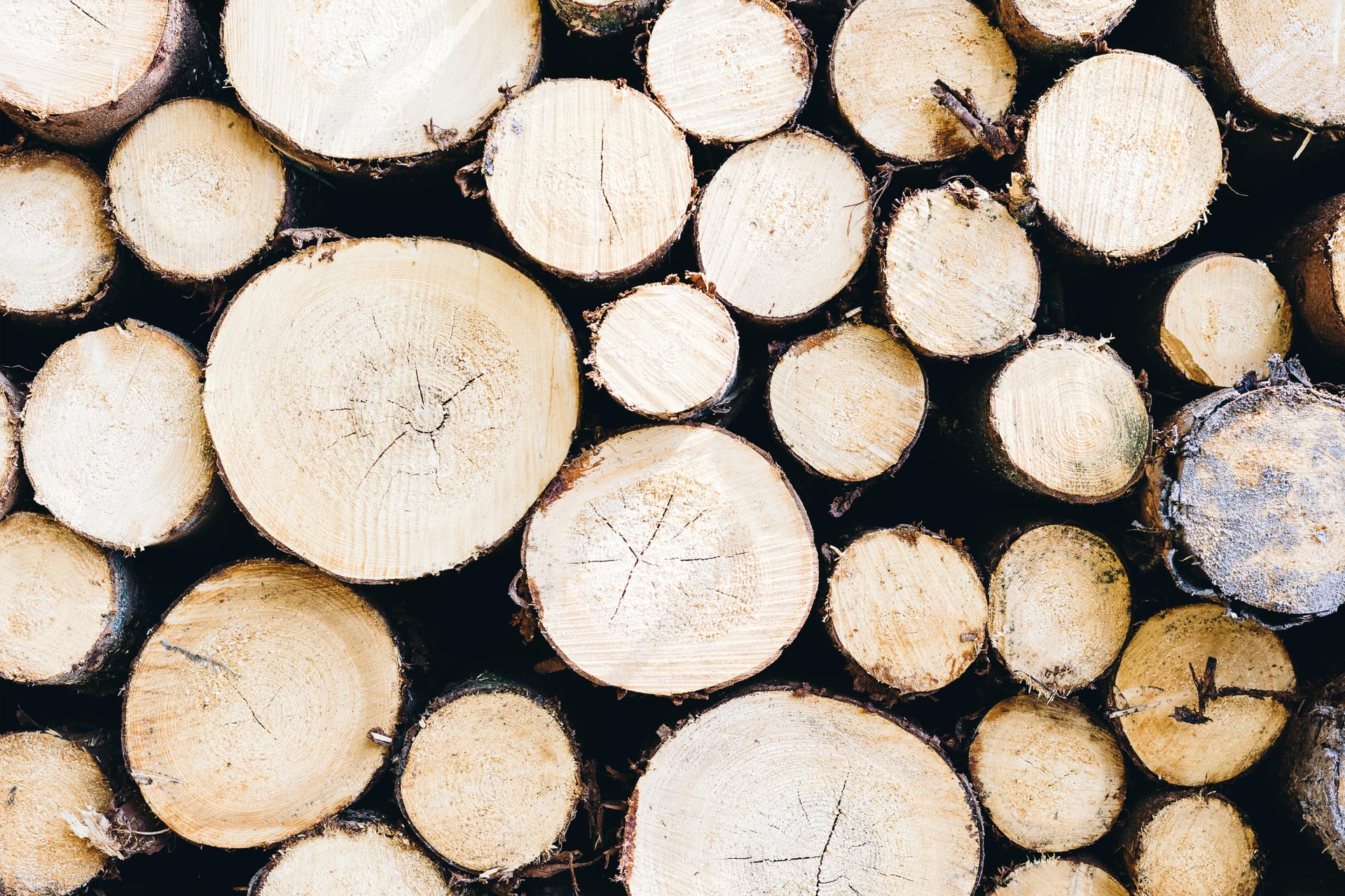 Wood Briquette That Burns Hot and Efficiently
