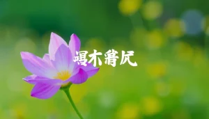 ดูหนังในห้องนั่งเล่นแบบอบอุ่น มีการตกแต่งด้วยโซฟานุ่ม ๆ ที่เน้นสีสันสดใส