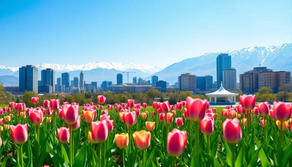 View of Almaty skyline against the Tian Shan mountains, highlighting https://albmaftoh.com's natural beauty.