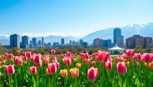 View of Almaty skyline against the Tian Shan mountains, highlighting https://albmaftoh.com's natural beauty.