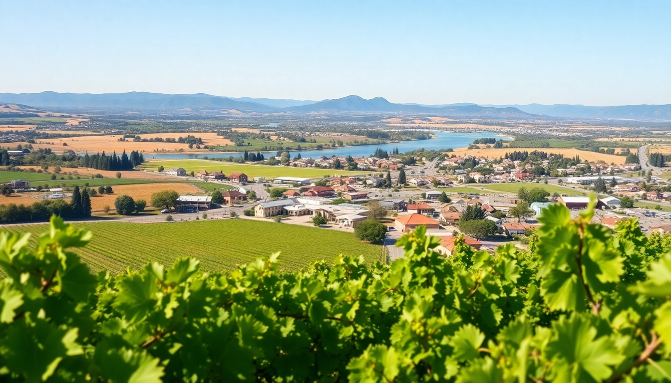 Capture of Clarksburg, CA with vibrant vineyards and scenic river, highlighting its rural charm.